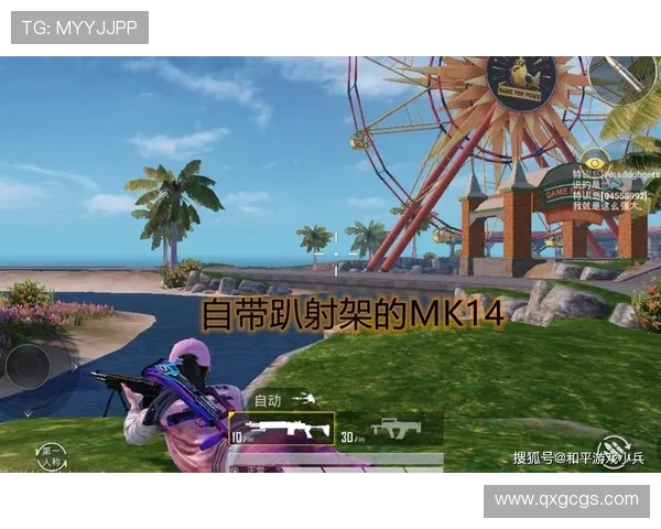 和平精英战术解析FPX团队防反体系的策略与应用探讨