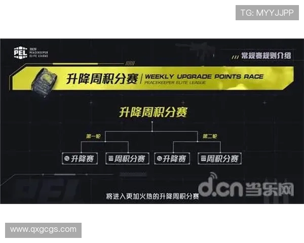 聚焦CSGO战队WE的默契配合与战术分析探讨