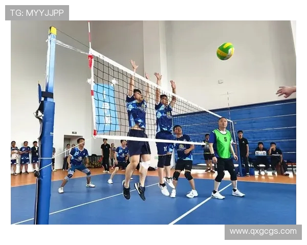 成都排球队的节奏与魅力探索聚焦排球运动的热情与未来发展