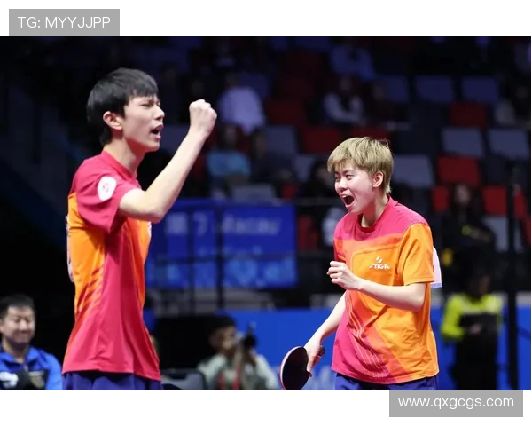 杭州乒乓球队的节奏揭秘与深度分析探讨乒乓球的魅力与技术之道